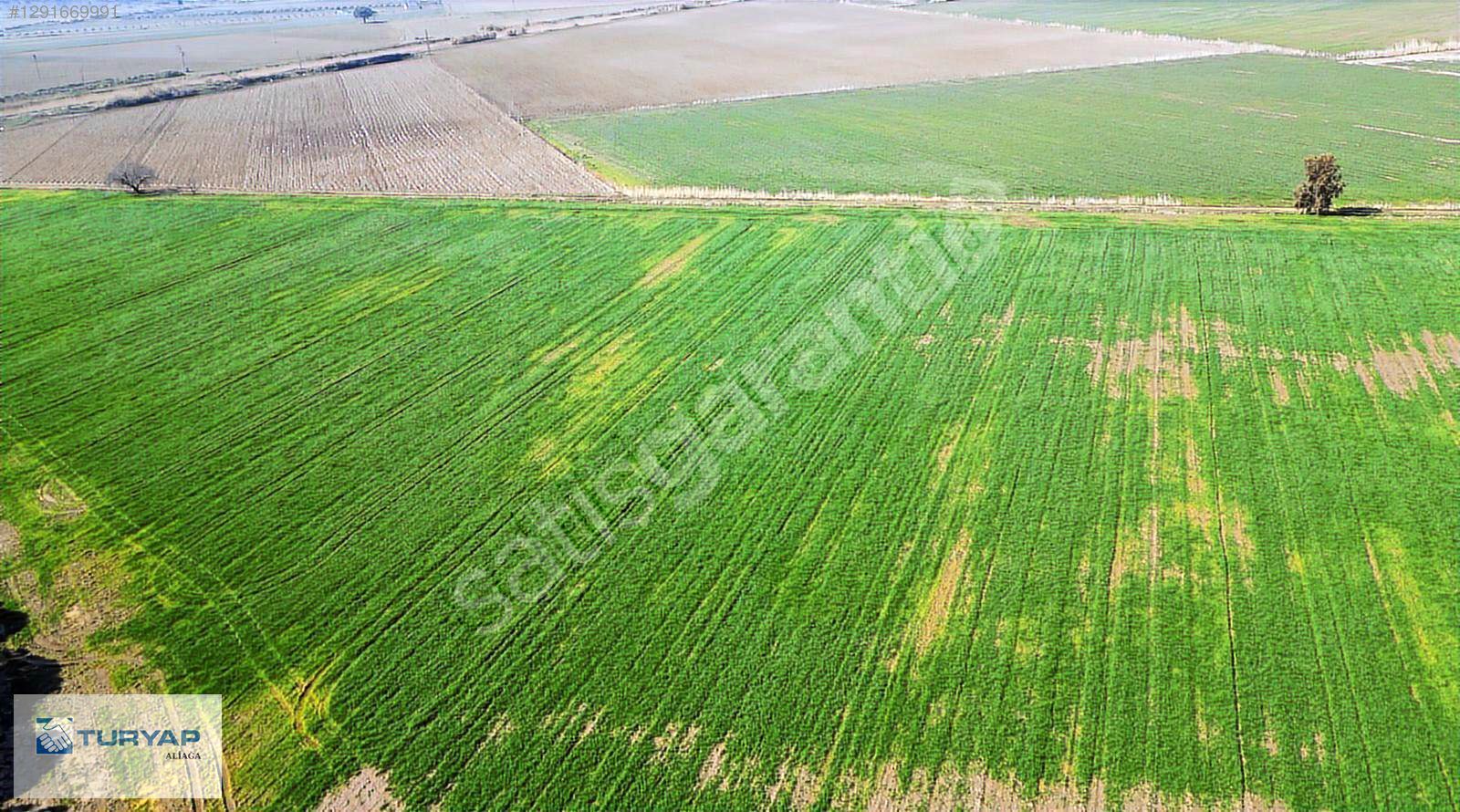 KEŞAN DA YATIRIMA UYGUN 256 M2 FIRSAT ARSA