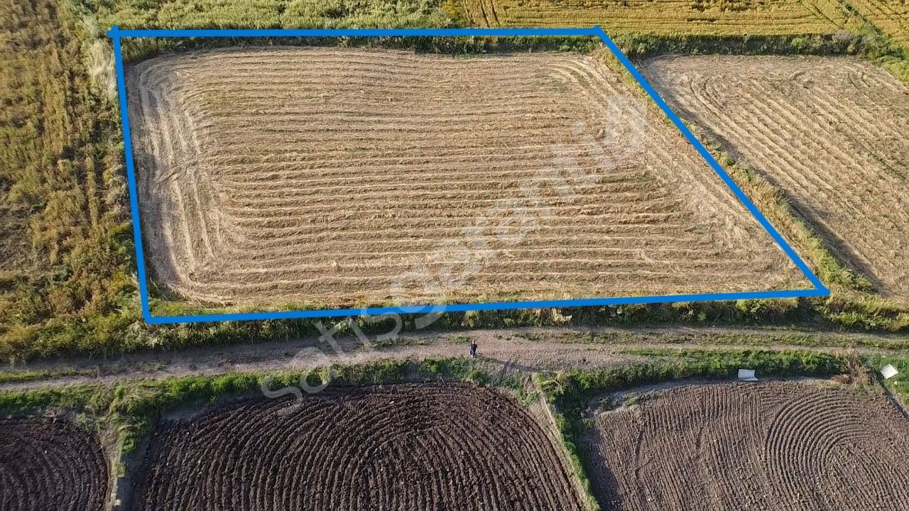 BİGA GÜLEÇ KÖYDE 2553 m2 KADASTROL YOLA CEPHELİ SATILIK TARLA 