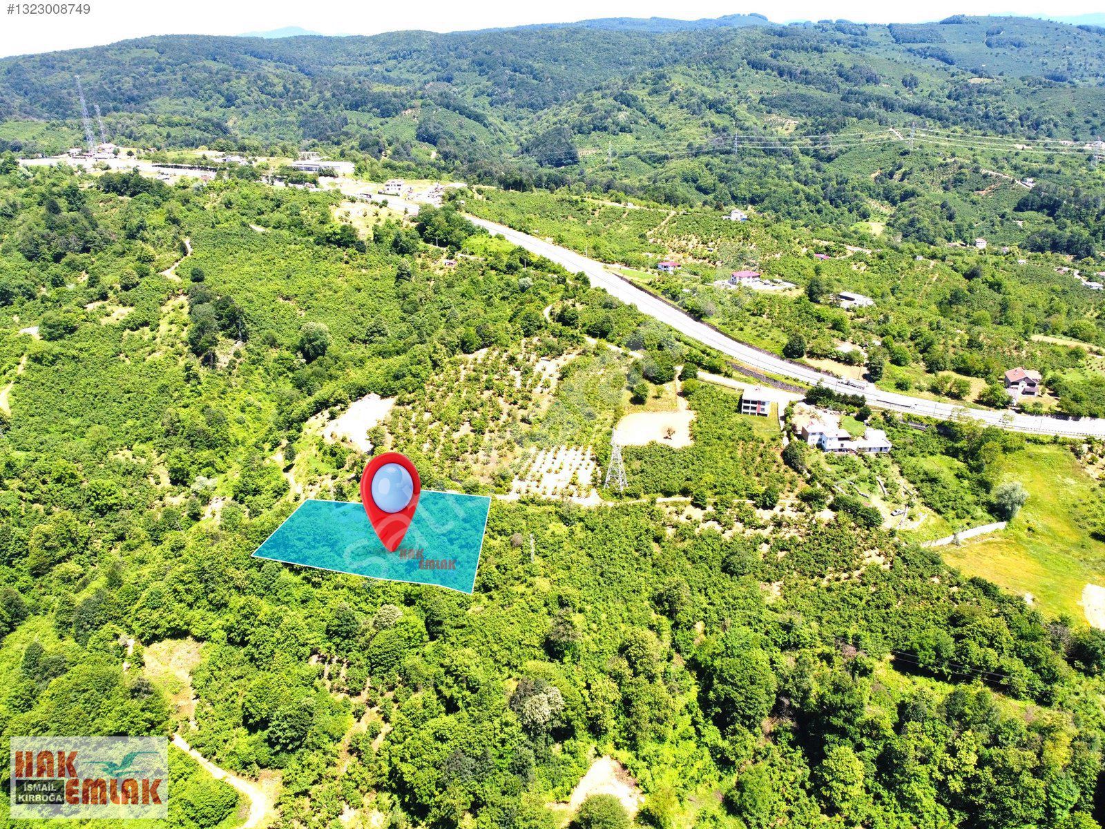 Hak Emlak'tan Boğaziçi Dokuzpınarda Doğa Harikası 5.379m² Bahçe