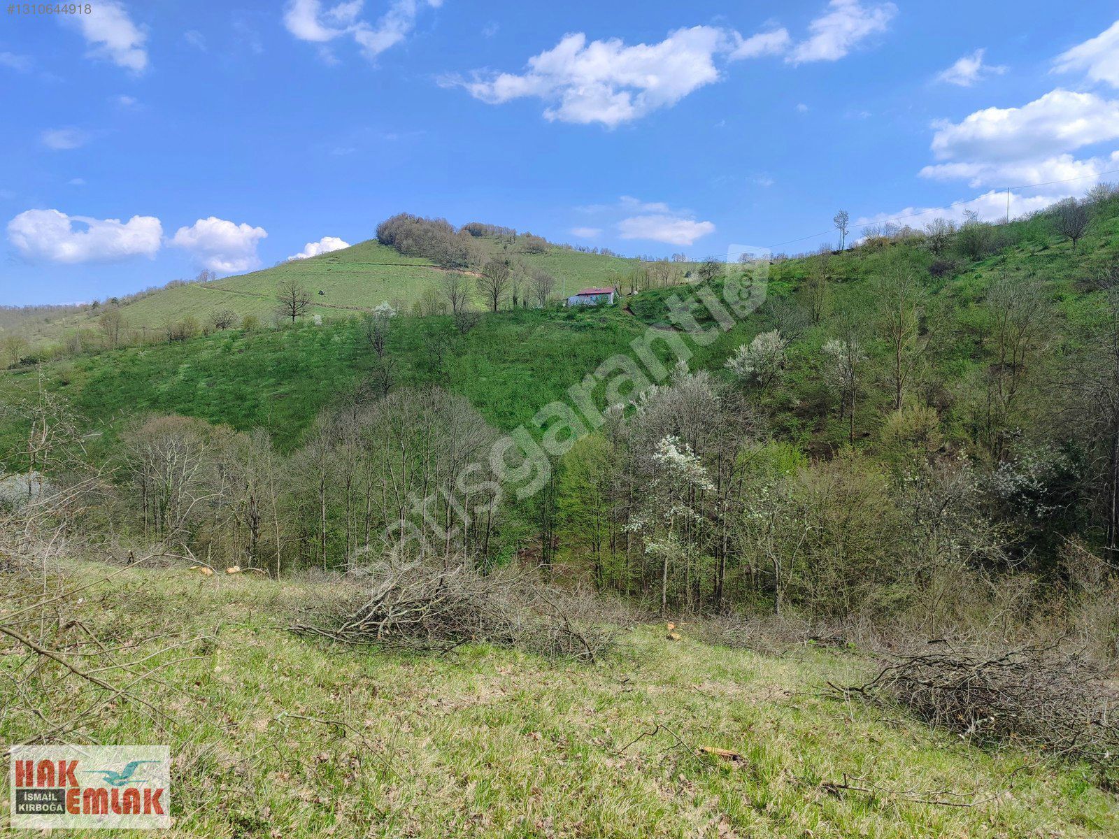 Hak Emlak'tan Gümüşova Yongalık'ta Satılık 19.483m² Arazi