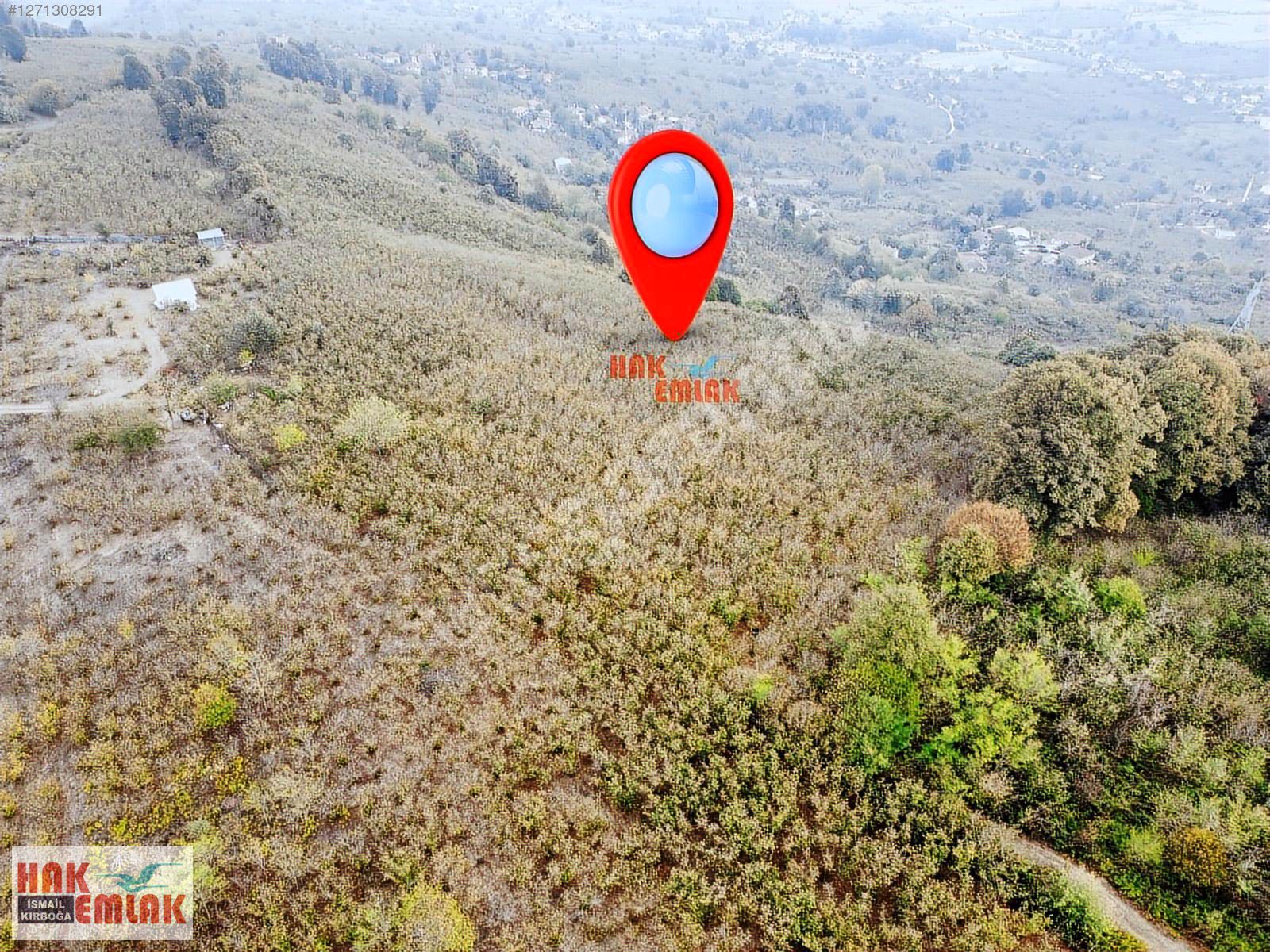 Hak Emlak'tan Yeni aynalı Köyünde Satılık 3.690 m² Fındıklık