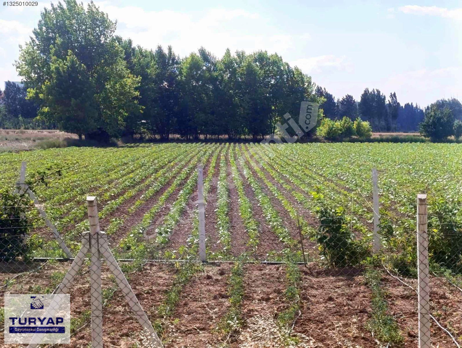 ORGANİZE SANAYİ BÖLGESİNE VE ANKARA YOLUNA ÇOK YAKIN DÜZ