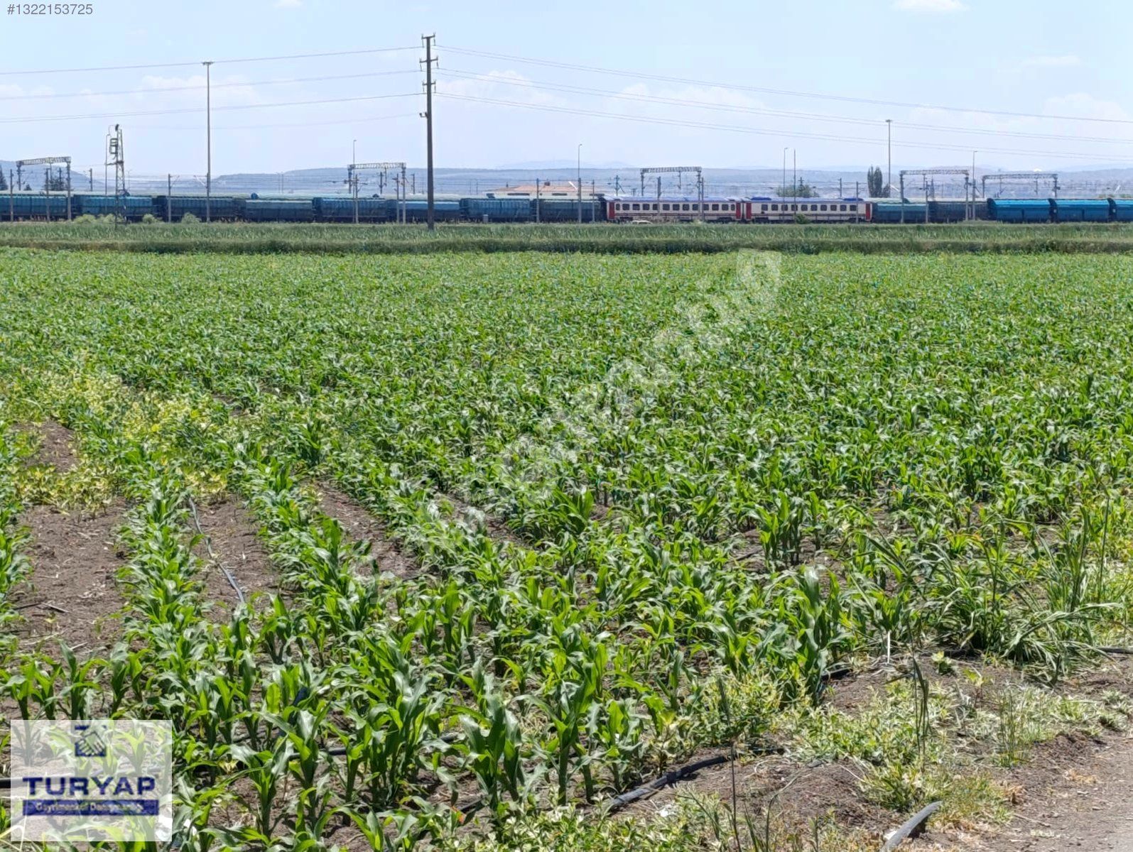 HATBOYU 3 BULVARINA 200 METRE YOLU BULUNAN DÜZ SULAK TARLA