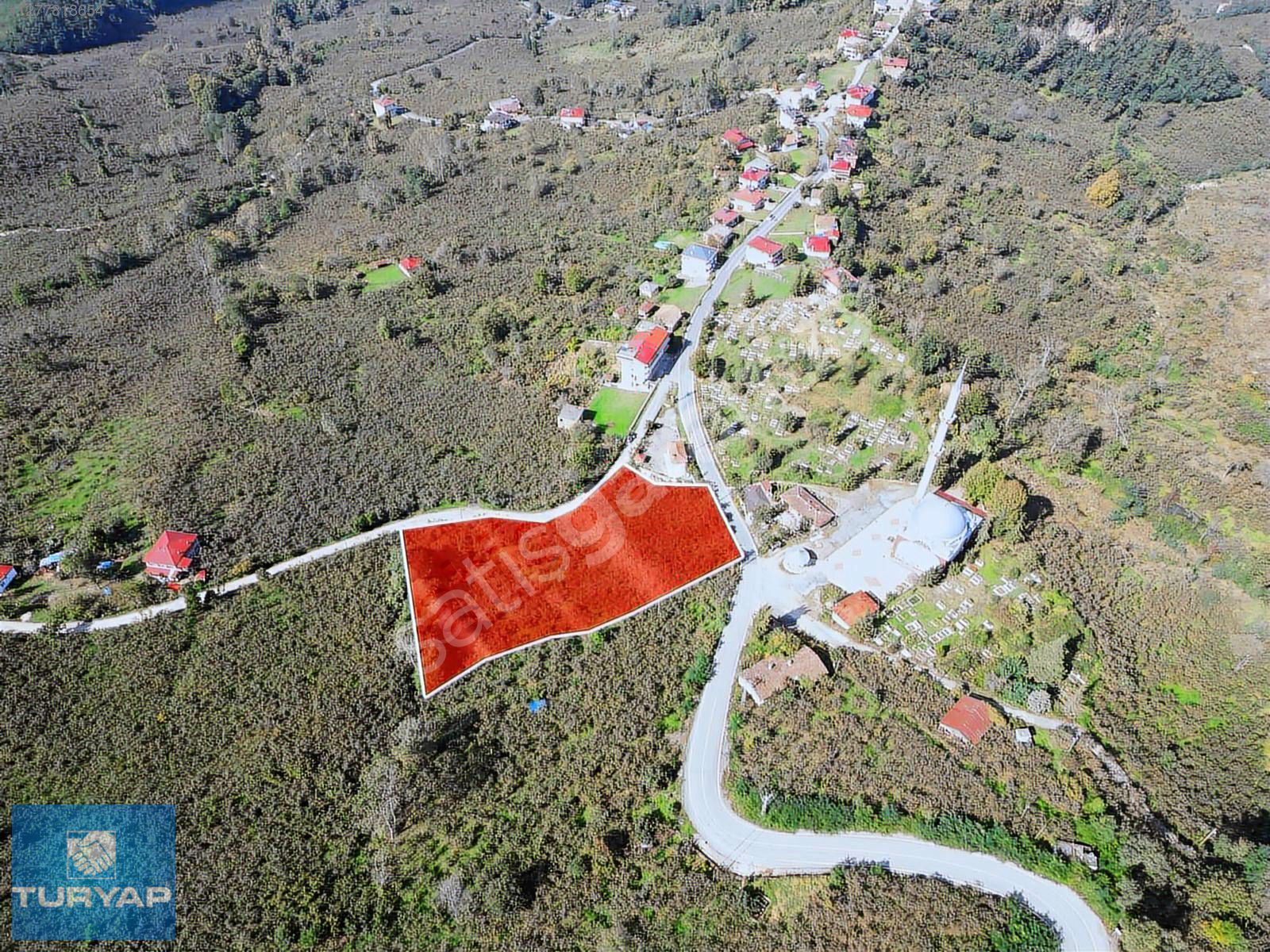 ORDU ALTINORDU DELİKKAYA'DA SATILIK EMSALSİZ BAHÇE