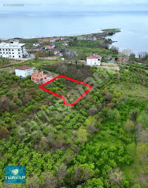 PERŞEMBE YASON BURNUNDA SATILIK 928 M2. BAHÇE.