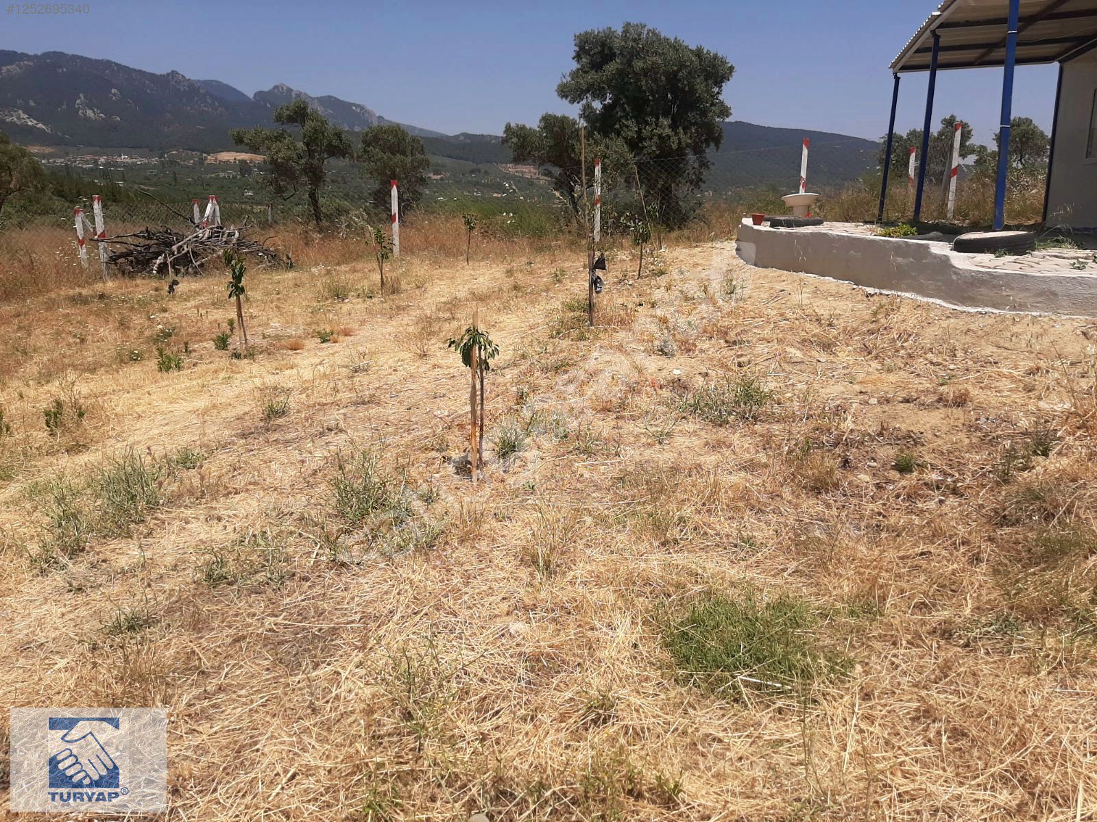 Kemalpaşa Vişneli Satılık Kullanıma Hazır Konteynerli Bahçe