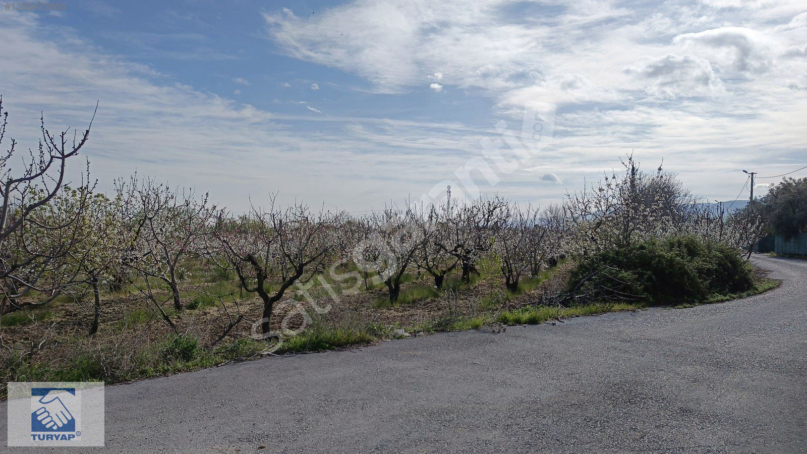 Kemalpaşa M.Akif Ersoy Mah. Satılık 4215m2 Bahçe