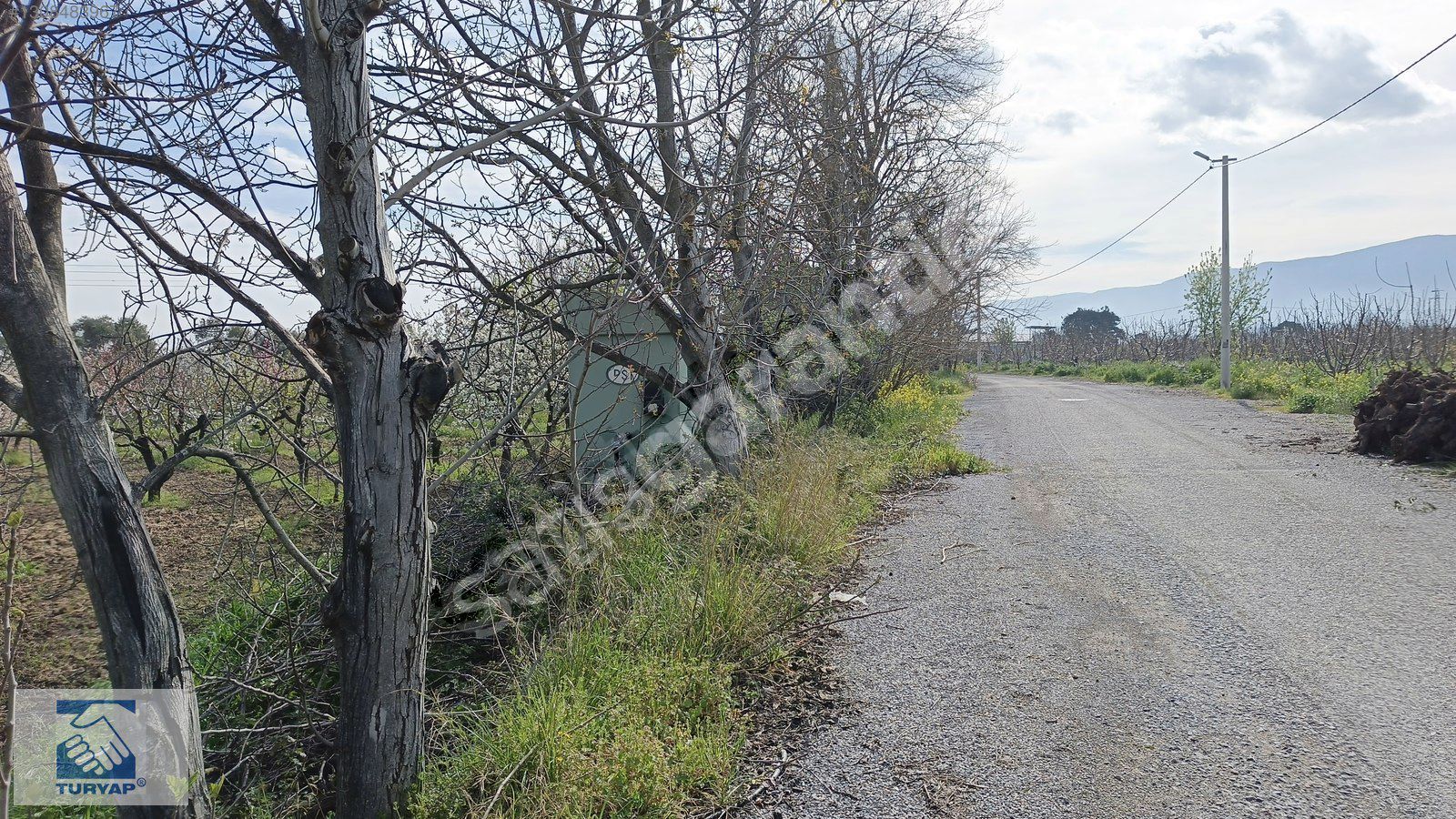 Kemalpaşa M.Akif Ersoy Mah. Satılık 4202m2 Bahçe