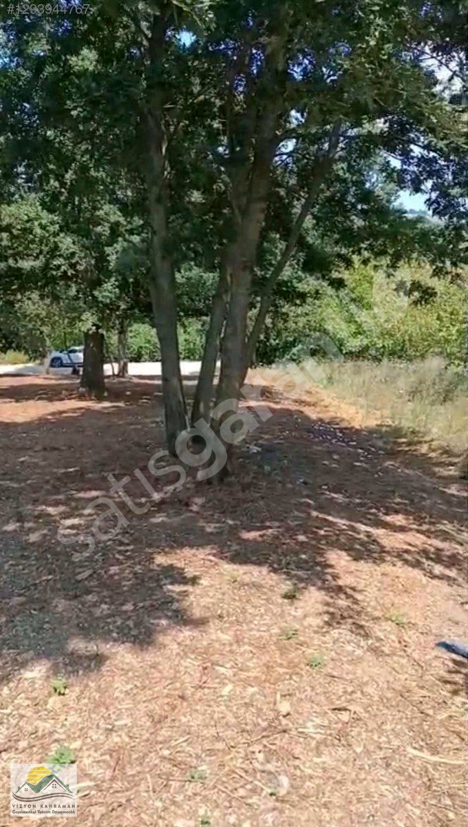 KANDIRA SEPETÇİDE İMAR SINIRINDA 1476 M2 YOLA CEPHELİ ARSA
