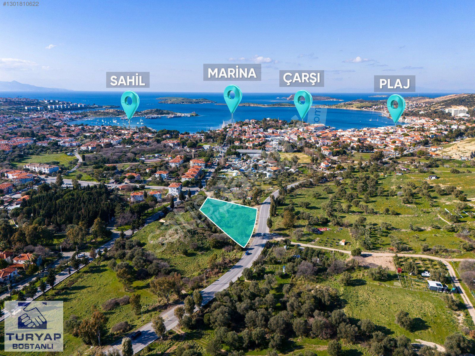 Eski Foça'da Satılık 3161m² Zeytinli Tarla - Ana Yola Cepheli