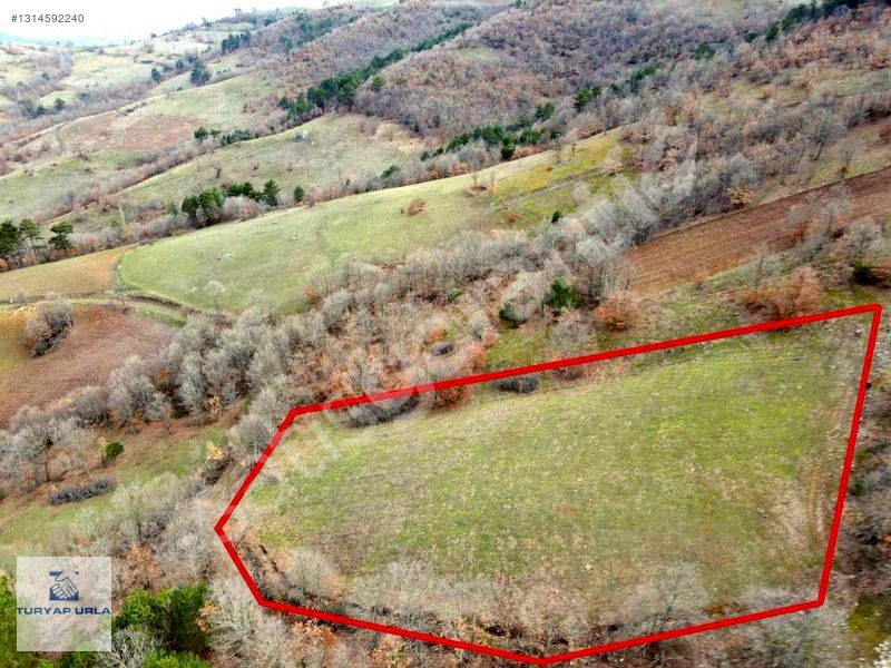Balıkesir Sındırgı Kınık Köyü - Tek Müstakil 2971 m2 Tarla