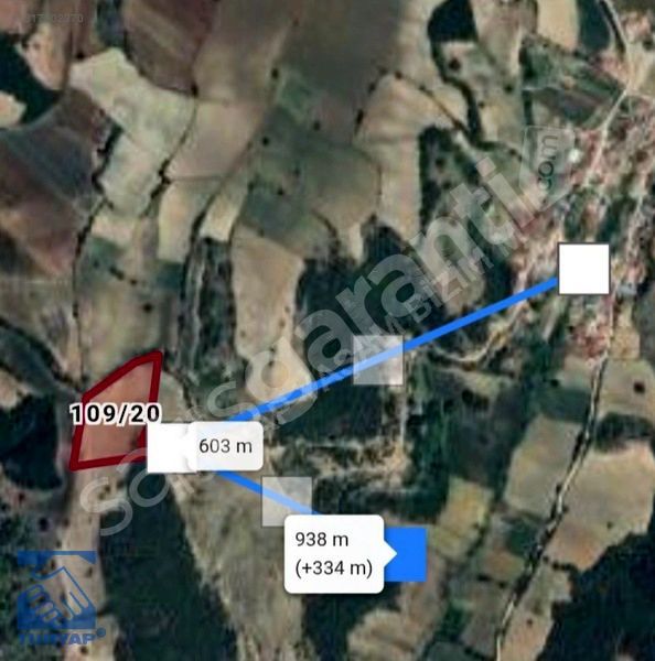 SAMSUN HAVZA YUKARISUSUZ MAH.10.700 M2 SATILIK TARLA ACİLLLLLLLL