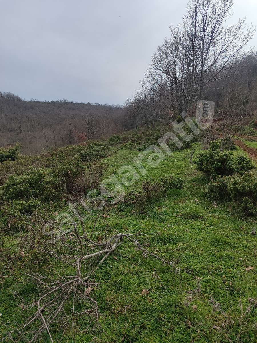 Çanakkale Biga arabaalan köyünde 2.800 m2 Tarla 