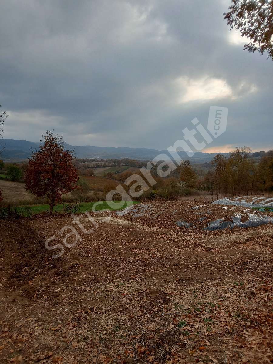 Kazdağları Çanakkale Yenice çırpılar köyünde köycivarı Bahçe