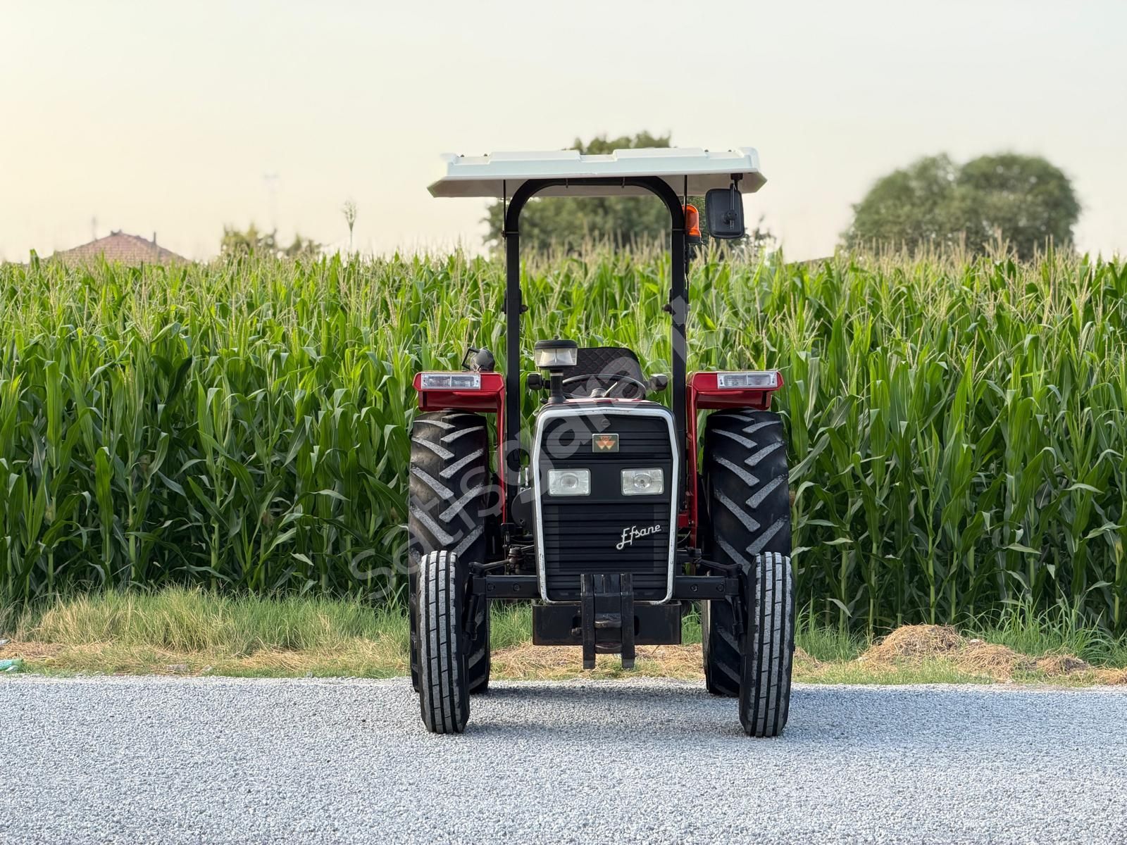 2005 MASSEY FERGUSON 240S BALATA FREN KARA ŞANZIMAN