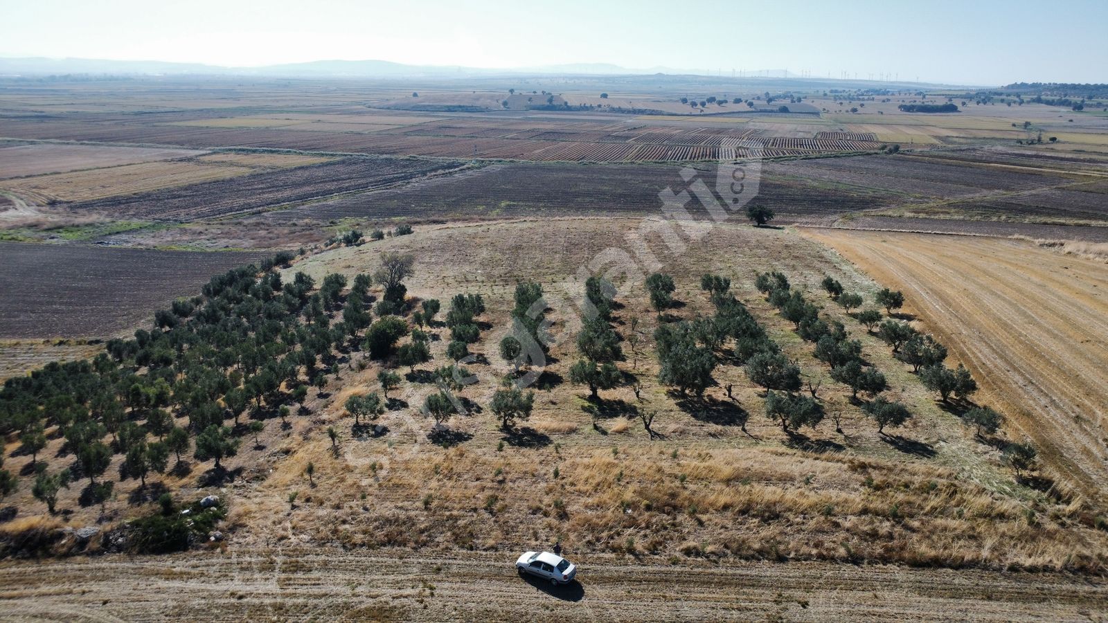 KUMKALE'DE 14.000 m2 İÇİNDE ZEYTİN OLAN TARLAMIZ SATILIKTIR